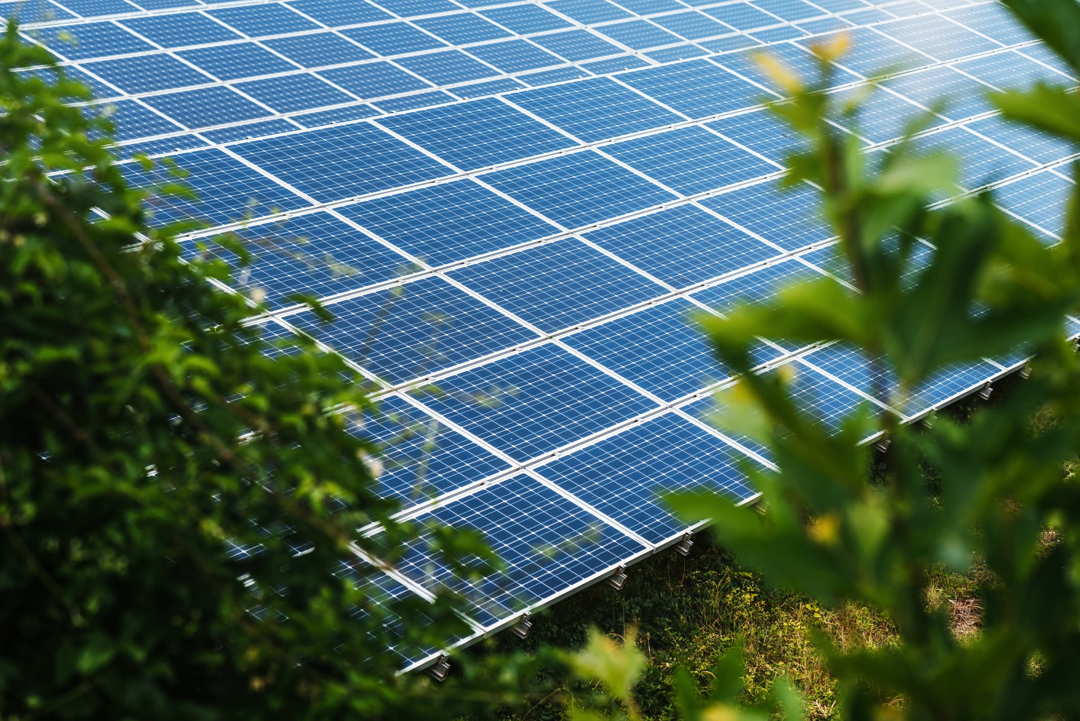 solar panels
