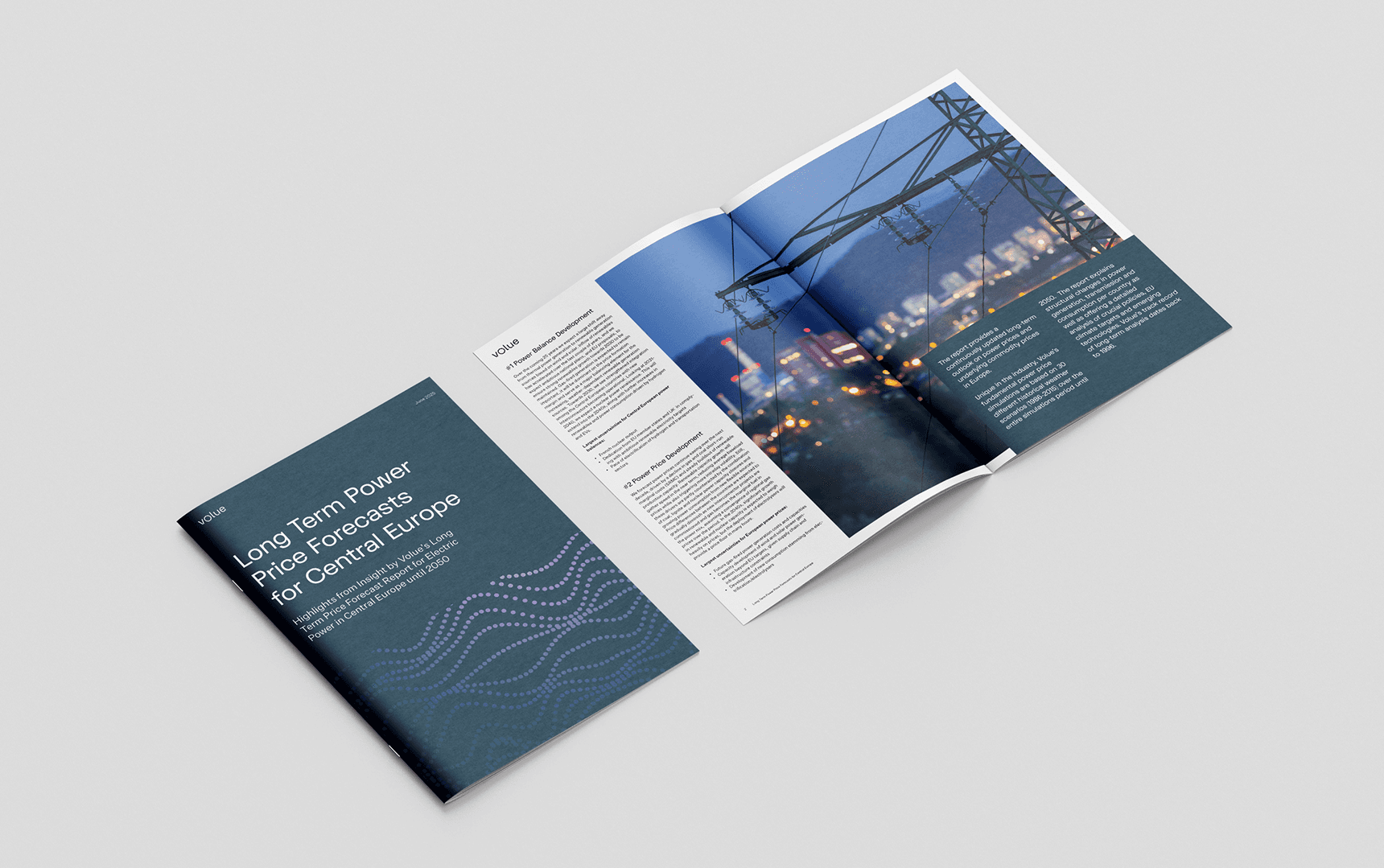 Pamphlet showing Volue's LTP report